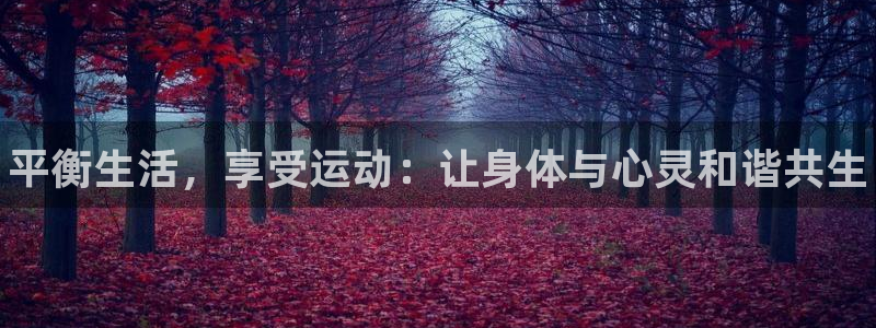 JJB竞技宝官方正版app娱乐首页官网下载：平衡生活