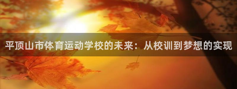 海南JJB竞技宝官网下载发展怎么样：平顶山市体育运动