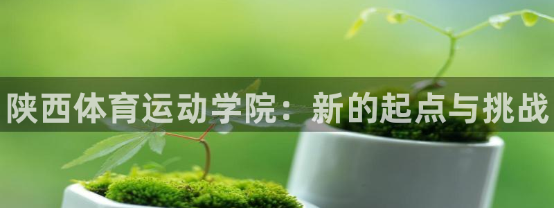 JJB竞技宝官方正版app集团简介：陕西体育运动学院