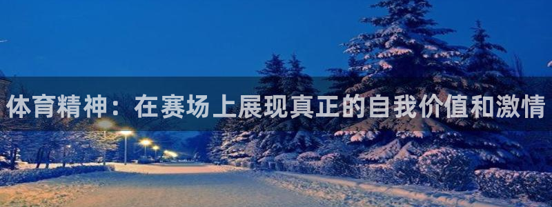 JJB竞技宝官网下载平台注册流程图：体育精神：在赛场