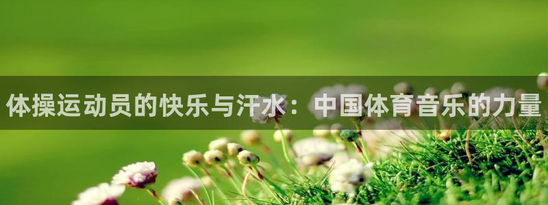 JJB竞技宝官网下载平台注册流程图：体操运动员的快乐