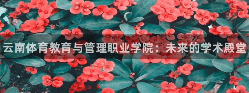 JJB竞技宝官方正版app娱乐是那个系列的台子：云南
