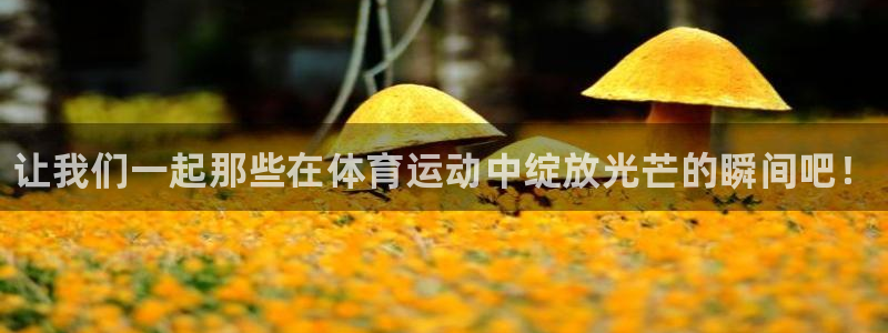 注册JJB竞技宝官方正版app：让我们一起那些在体育