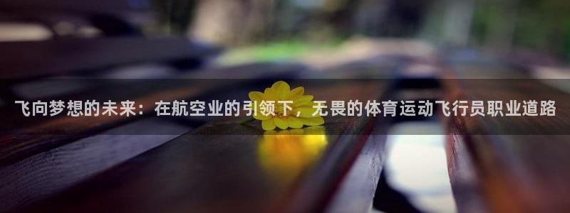 注册JJB竞技宝官方正版app：飞向梦想的未来：在航