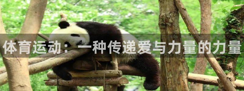 JJB竞技宝官网下载平台注册流程视频：体育运动：一种