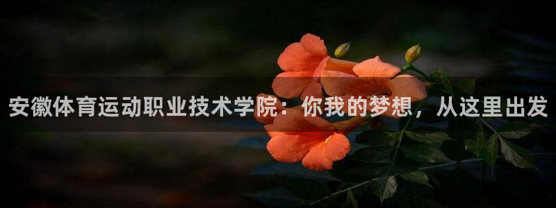 JJB竞技宝官网下载平台注册要钱吗：安徽体育运动职业