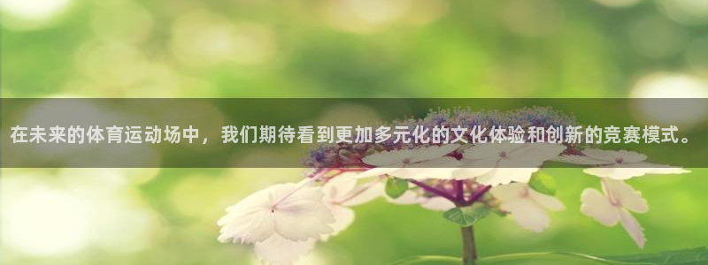 JJB竞技宝官网下载平台注册流程视频：在未来的体育运