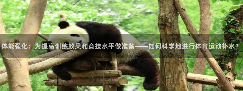 JJB竞技宝官方正版app娱乐40996：体能强化：为提高训