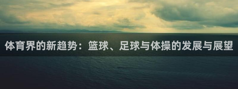 JJB竞技宝官网下载官方客服电话：体育界的新趋势：篮球、足球