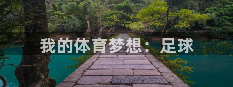 JJB竞技宝官网下载平台假的吗是真的吗吗：我的体育梦想：足球