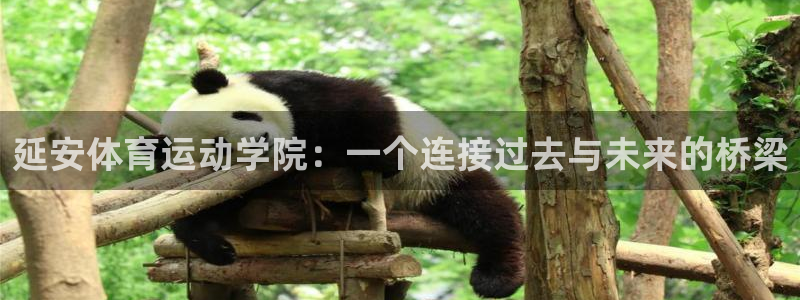 JJB竞技宝官网下载招商电话地址是多少