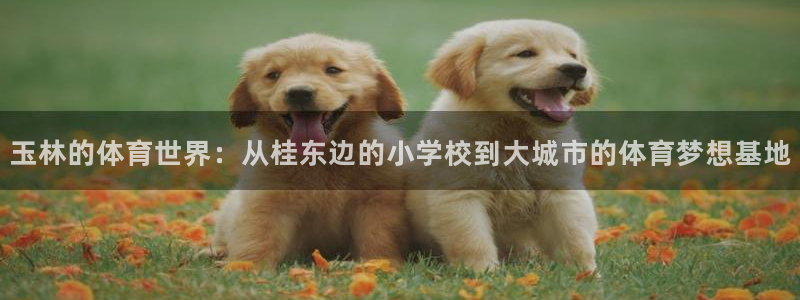 海南JJB竞技宝官网下载
