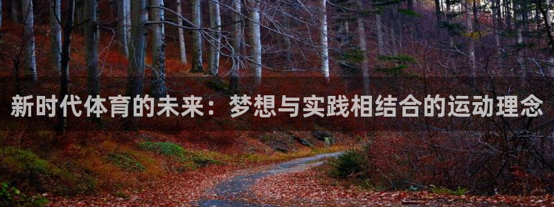 JJB竞技宝官网下载平台：新时代体育的未来：梦想与实