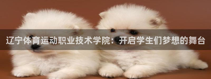 JJB竞技宝官网下载是干嘛的公司：辽宁体育运动职业技术学院：