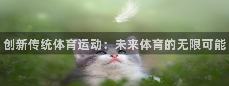 JJB竞技宝官方正版app娱乐代理怎么样：创新传统体育运动：