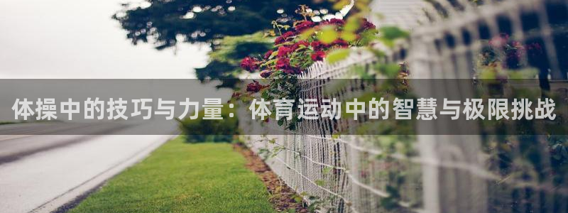 JJB竞技宝官网下载注册：体操中的技巧与力量：体育运动中的智
