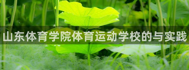 JJB竞技宝官网下载平台注册流程图：山东体育学院体育