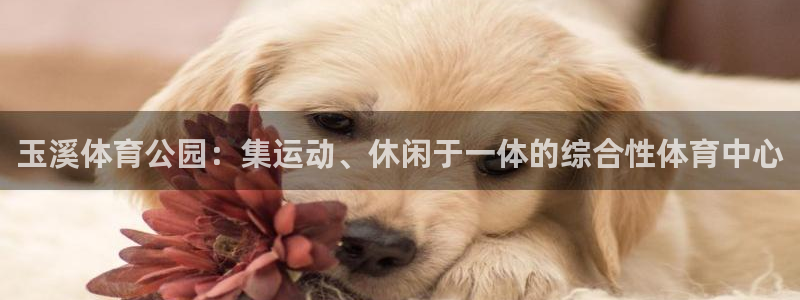 JJB竞技宝官方正版app集团官网首页网址