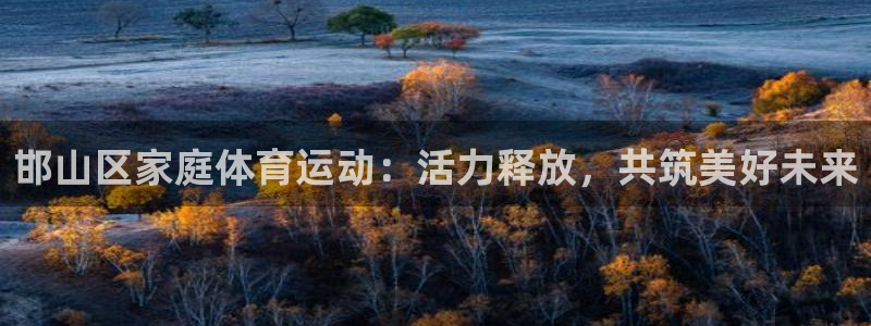 JJB竞技宝官方正版app娱乐网站：邯山区家庭体育运动：活力