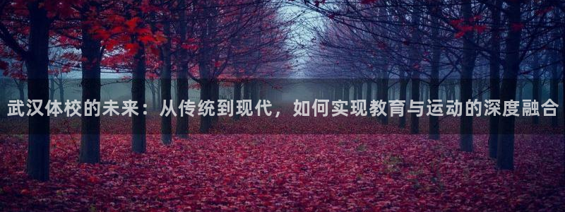 JJB竞技宝官方平台体育：武汉体校的未来：从传统到现代，如何