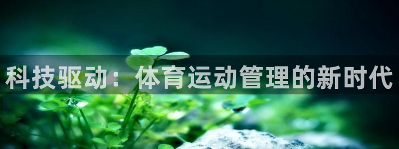 海南JJB竞技宝官网下载发展怎么样