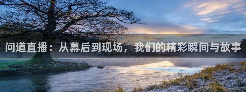 斗球直播app下载电脑版：问道直播：从幕后到现场，我们的精彩瞬间与故事