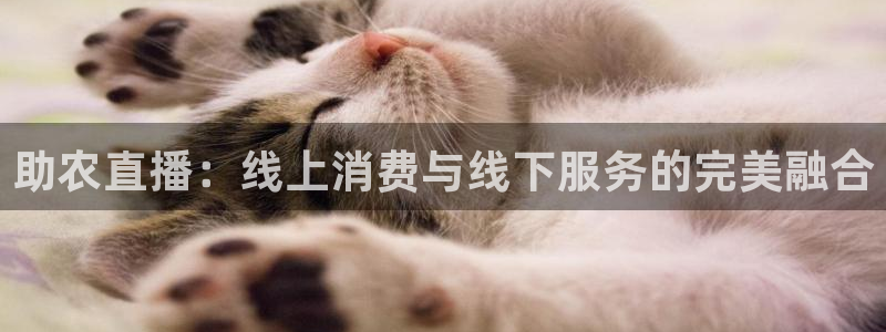 斗球猛哥直播间：助农直播：线上消费与线下服务的完美融合