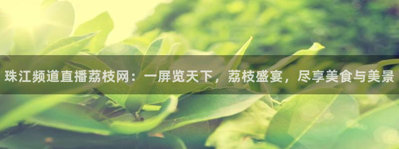 斗球体育app：珠江频道直播荔枝网：一屏览天下，荔枝盛宴，尽享美食与美景