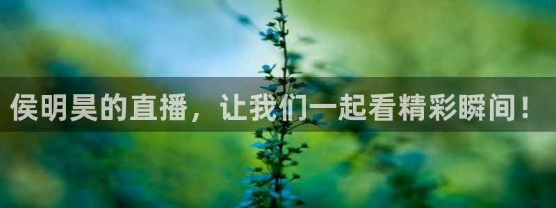 斗球直播平台下载：侯明昊的直播，让我们一起看精彩瞬间！