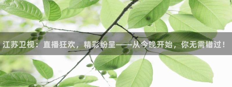 斗球直播官方网站入口：江苏卫视：直播狂欢，精彩纷呈——从今晚开始，你无需错过！