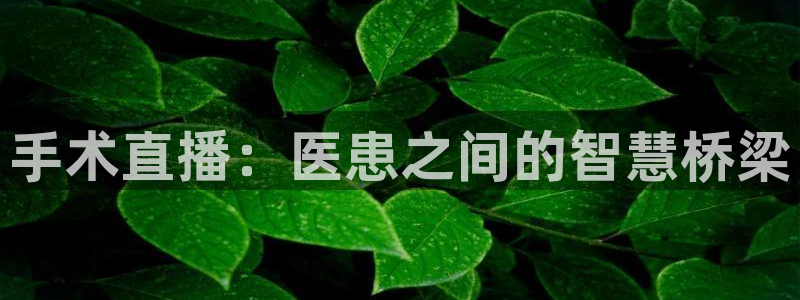 斗球体育直播官网：手术直播：医患之间的智慧桥梁