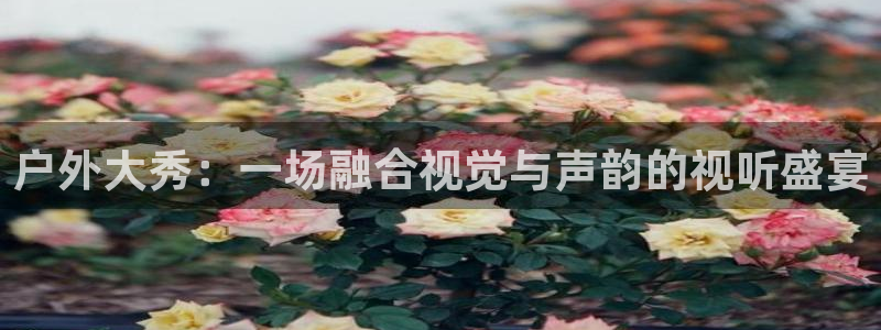 斗球体育app手机版：户外大秀：一场融合视觉与声韵的视听盛宴