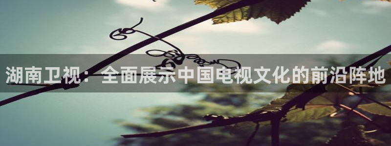 nba直播斗球：湖南卫视：全面展示中国电视文化的前沿阵地