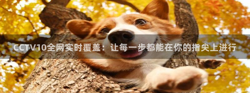 斗球体育app下载官网：CCTV10全网实时覆盖：让每一步都能在你的指尖上进行