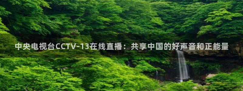 斗球体育直播在线观看免费：中央电视台CCTV-13在线直播：共享中国的好声音和正能量